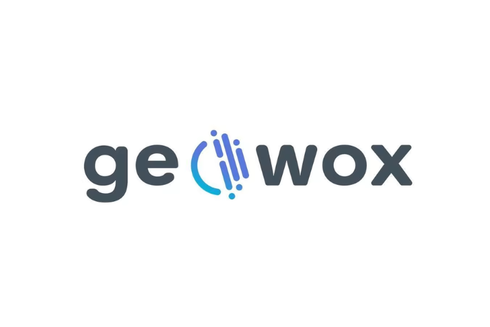 Geowox Logo