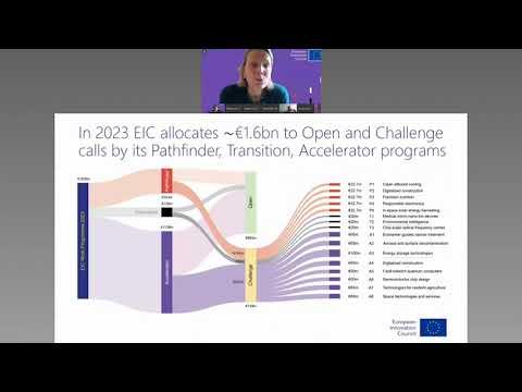 EIC Accelerator Challenge Information Day - Energy Storage