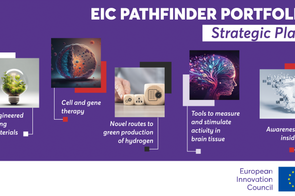 Strategic plans for 2021 EIC Pathfinder Challenge portfolios